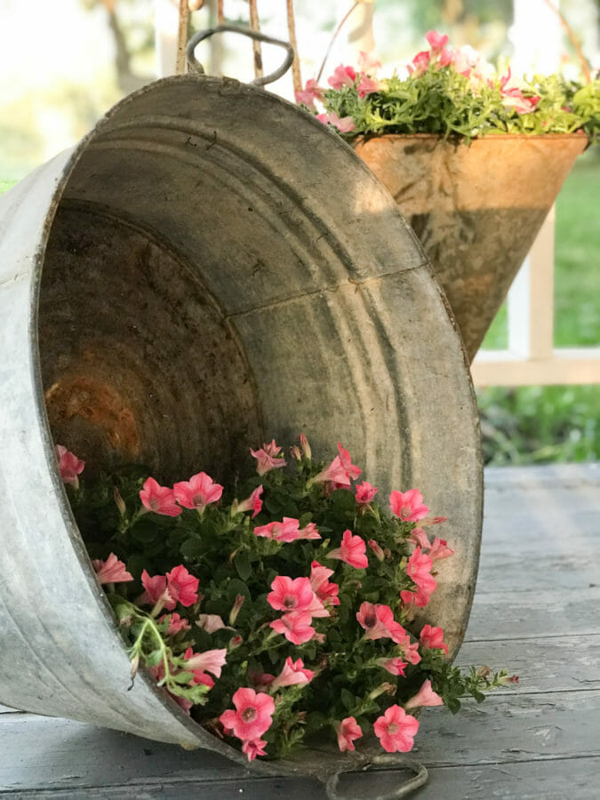Large leaning galvanized bucket with flowers