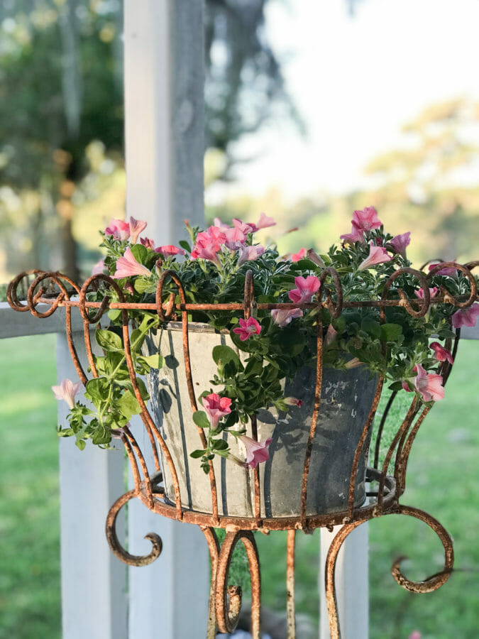 Rusty iron plant stand with galvanized bucket and flowers