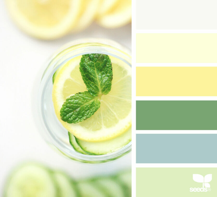 lemon and mint