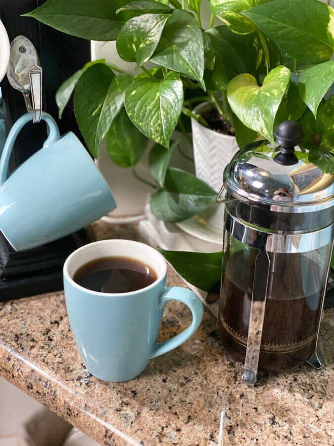 Sweese Cups with French press and plant