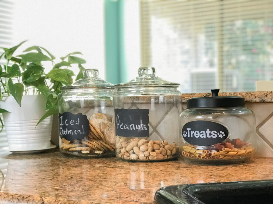 glass canisters and plant