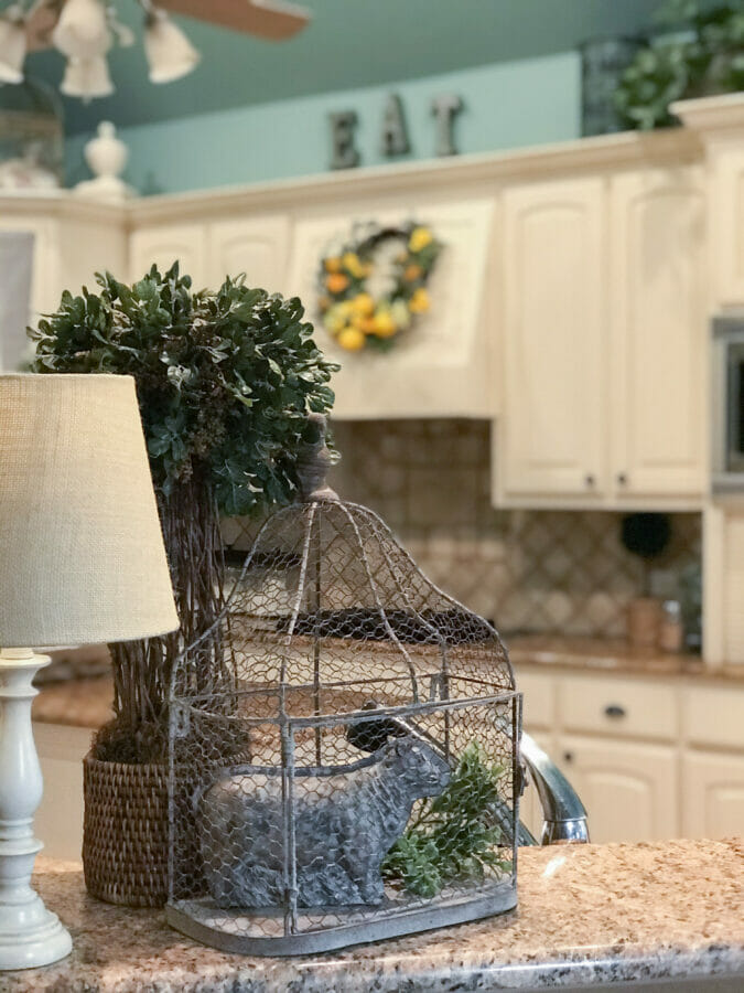 kitchen with lamp and topiary on bar