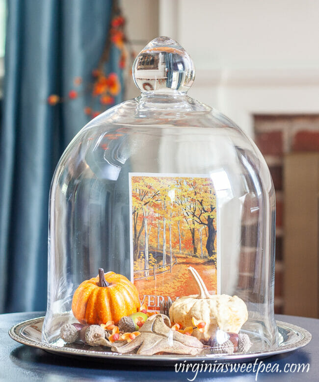 glass cloche with fall decor