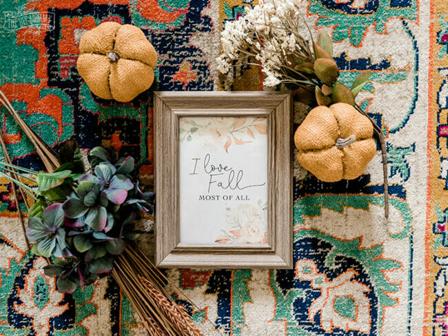 rug with pumpkins and fall printable in frame
