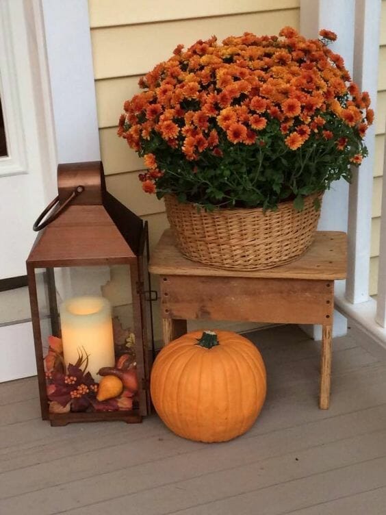 small bench holding a fall mum with a lantern and pumpkin to the side