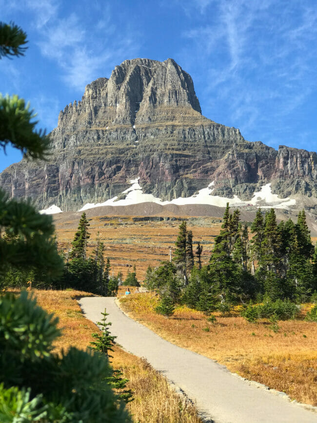 Hiking trail with trees and mountains with snow in Glacier National Park