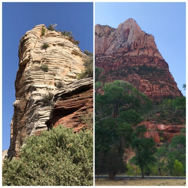 Zion National Park Collage