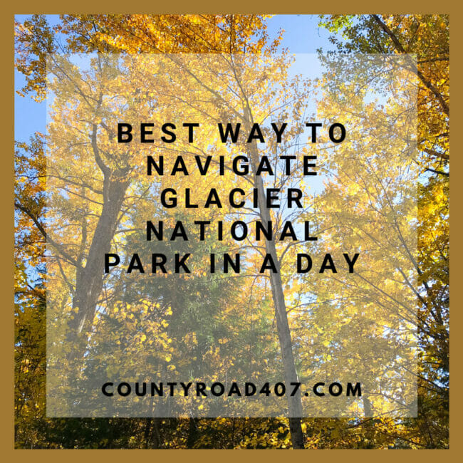 Navigate GNP Pinterest Graphic with golden trees in background