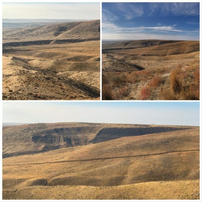 Oregon Trail collage