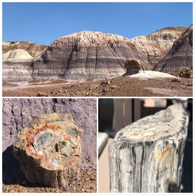 collage of the painted desert and petrified forest