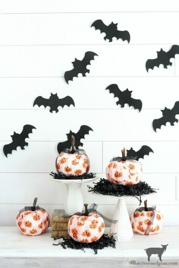 bats and pumpkins