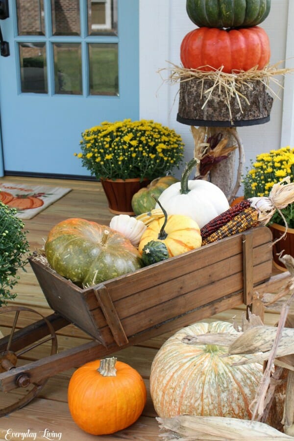 wheelbarrow with pumpkins