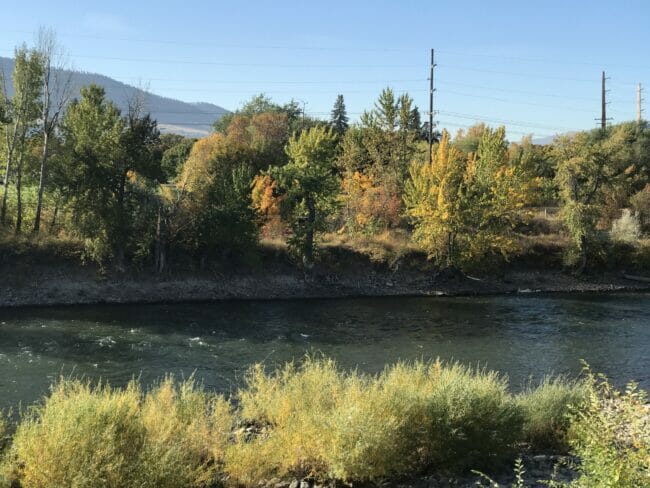 river with golden trees