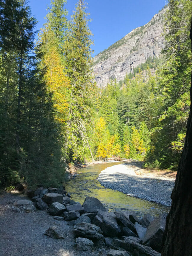 creek bed with fall trees and mountain in background from Glacier National Park