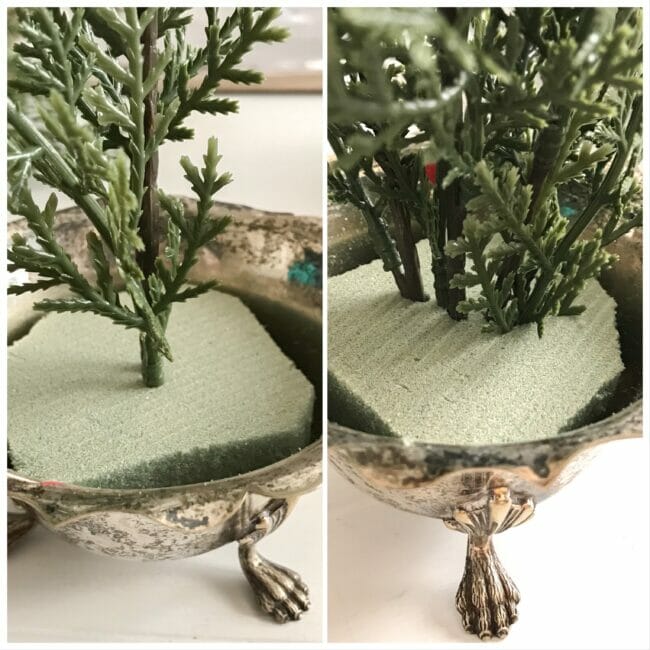 collage of silver cups with tree stems