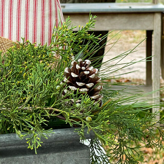 cedar stems with pinecone