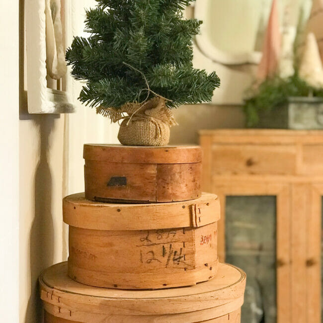 cheese boxes stacked with tree on top