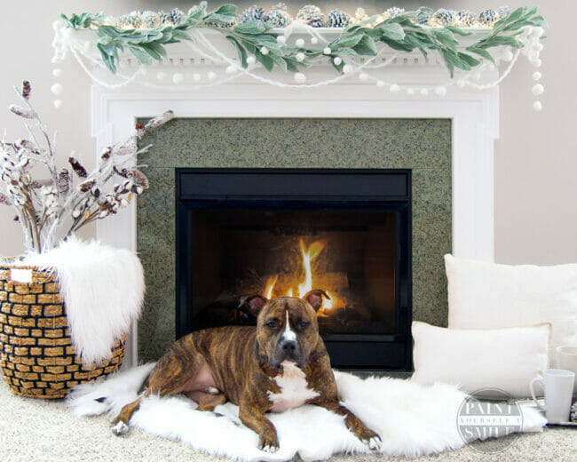 white mantel with garland and dog 