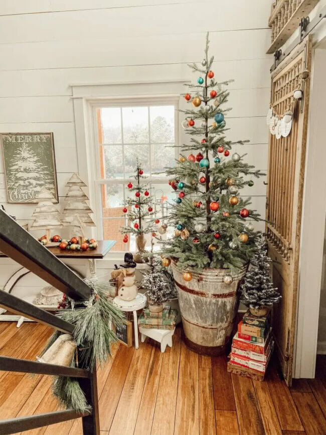 christmas trees in corner in front of window