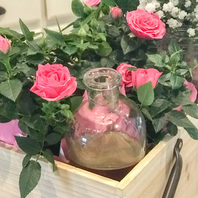 vintage bottle in tool caddy with roses