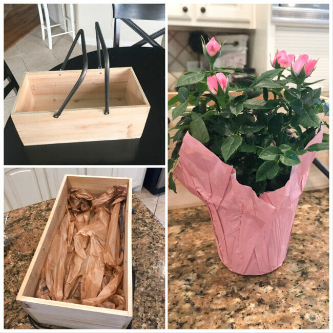 Collage of tool caddy and small rose plant