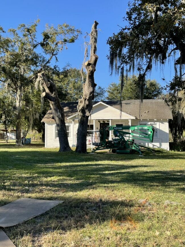 white house with tree cutting machine