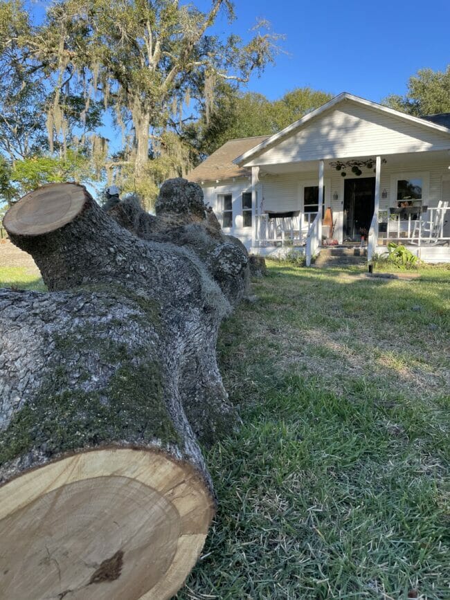 tree truck in laying down in front of house