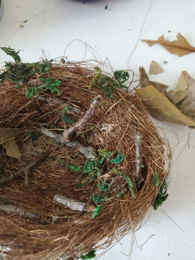 diy bird nest