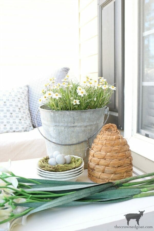 bucket, plants, nest, bee skep