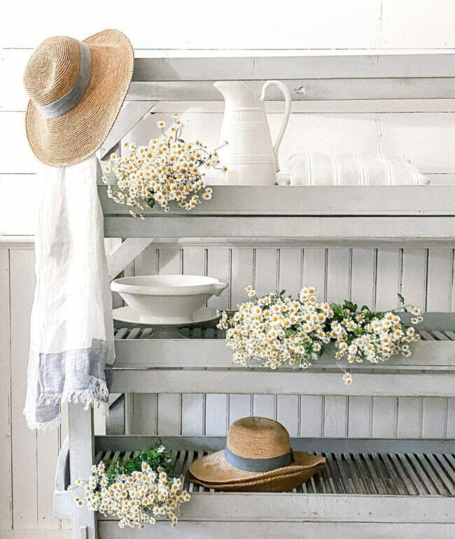 shelves with flowers, hats and a scarf