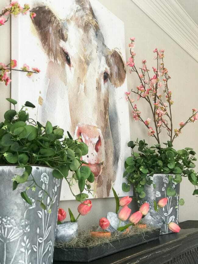 cow print on mantel with pink stems and greenery in metal baskets with pink tulips