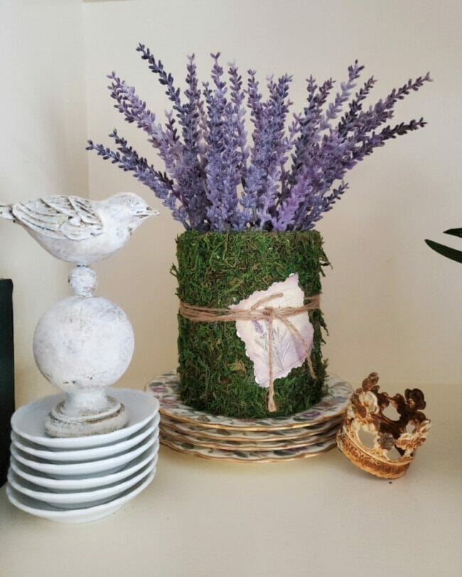 moss covered can with lavender