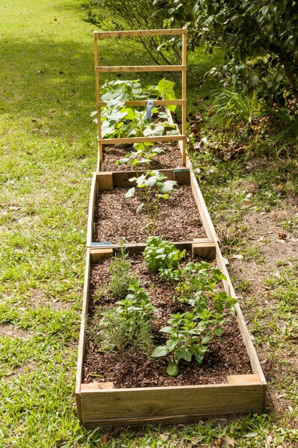 raised garden bed