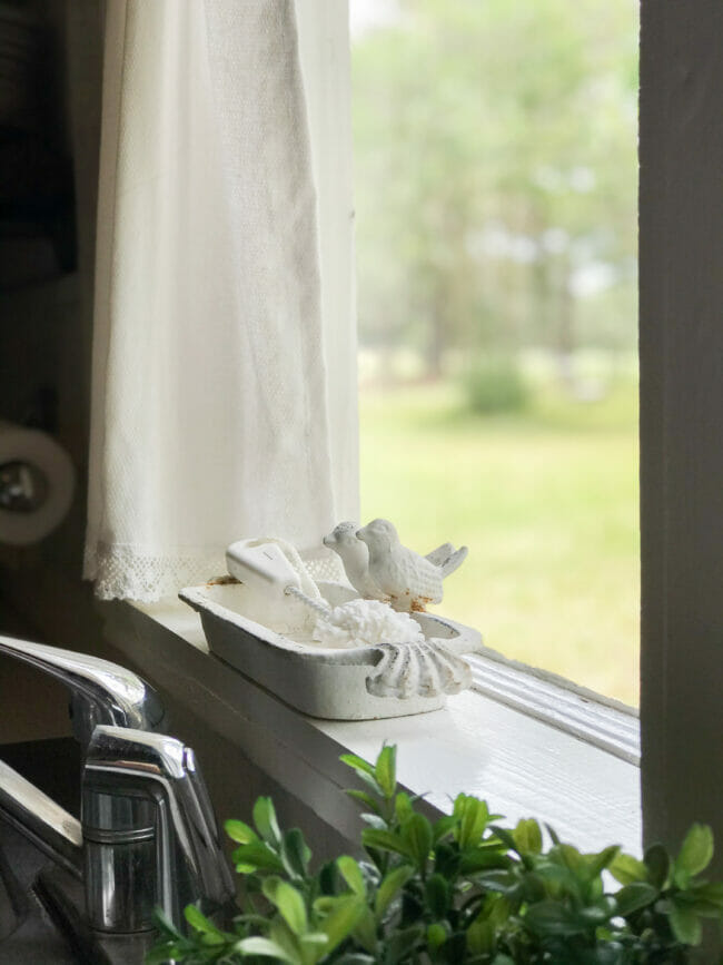 window with spring iron bird tray