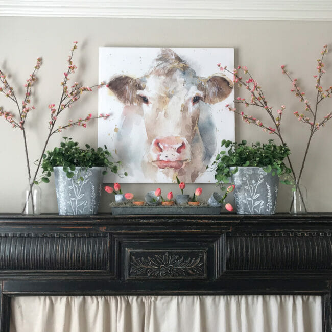 black mantel with cow print and pink stems