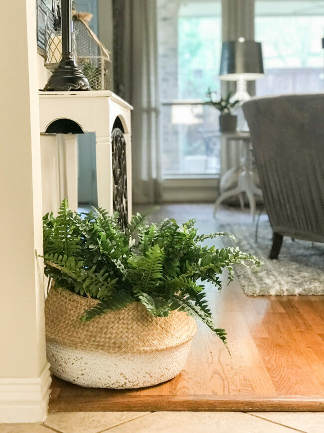 basket with fern in living room