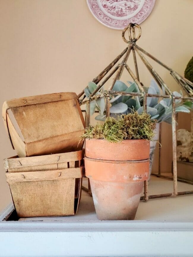 boxes with pots and moss