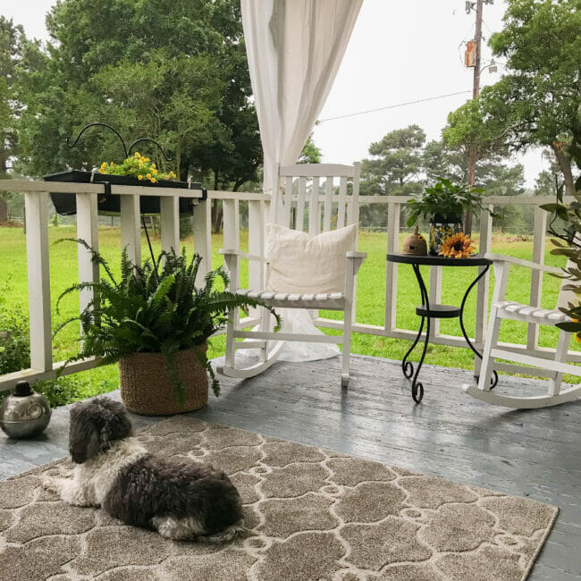 porch with white chairs and dog on rug