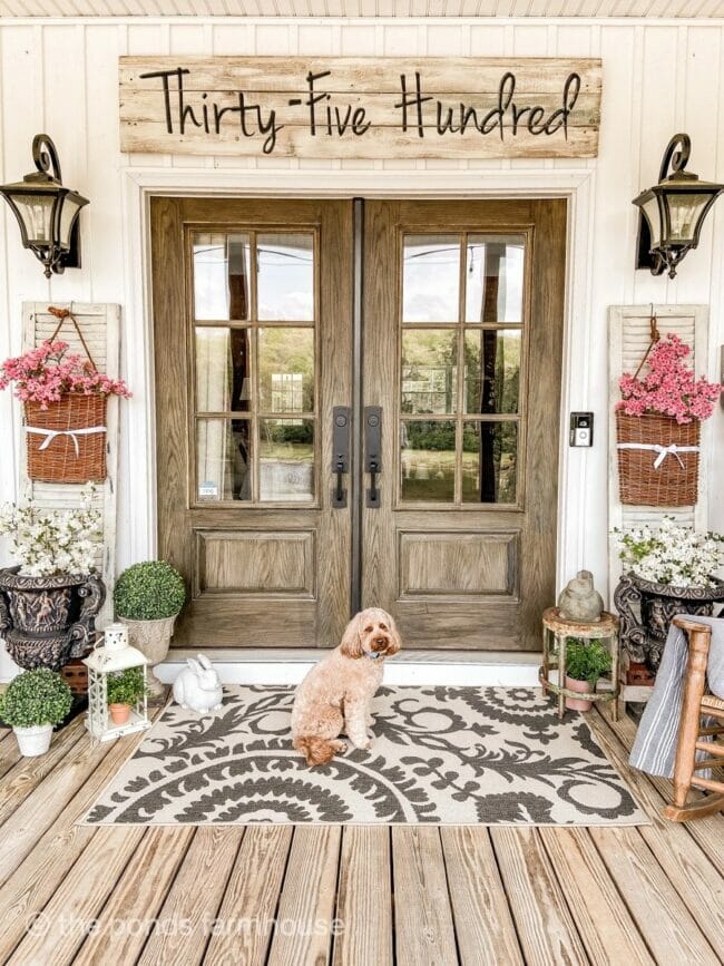 front porch with dog