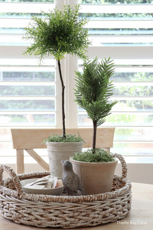 two topiaries in tray with bird