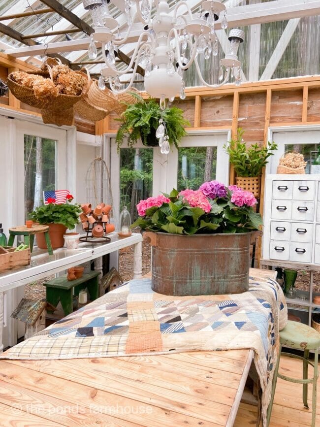 inside of a greenhouse with pink flowers inside a copper tin