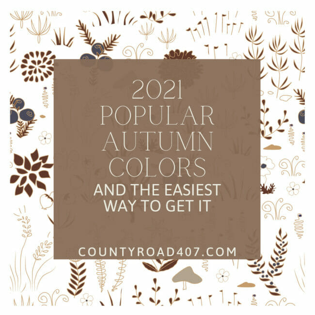 2021 Popular Autumn Colors and the easiest way to get it