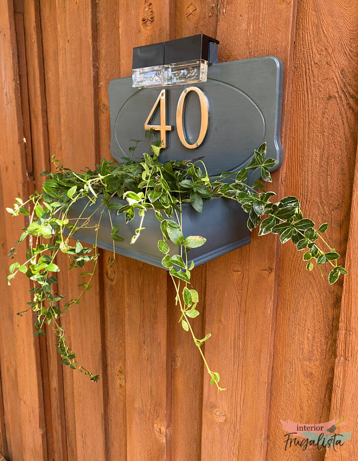 mailbox with numbers and plant