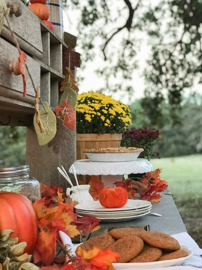 close up of food on outdoor fall table