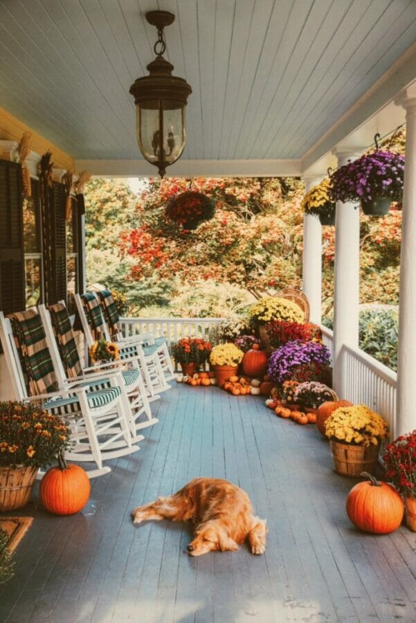 dog laying on fall decorated porch