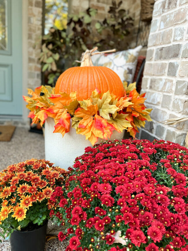 red and orange mum with an orange pumpkin sitting in planter 