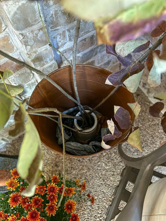 Inside of a bucket with fall stems