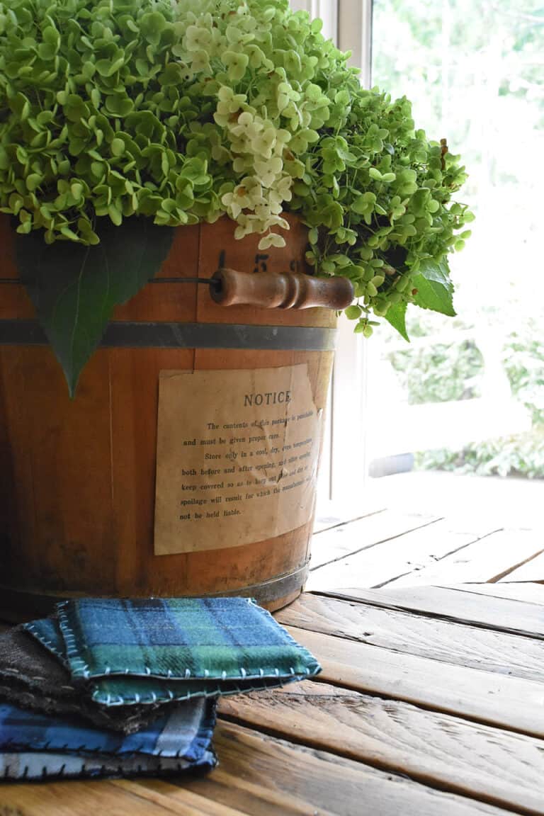 old bucket with label and green hydrangeas