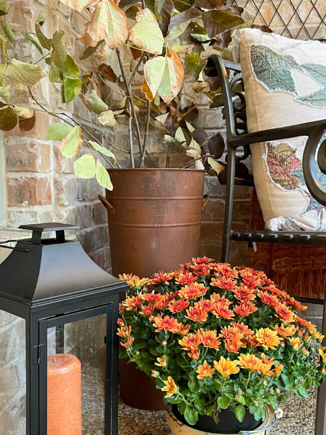 orange mum, black lantern with candle and rusty bucket with stems