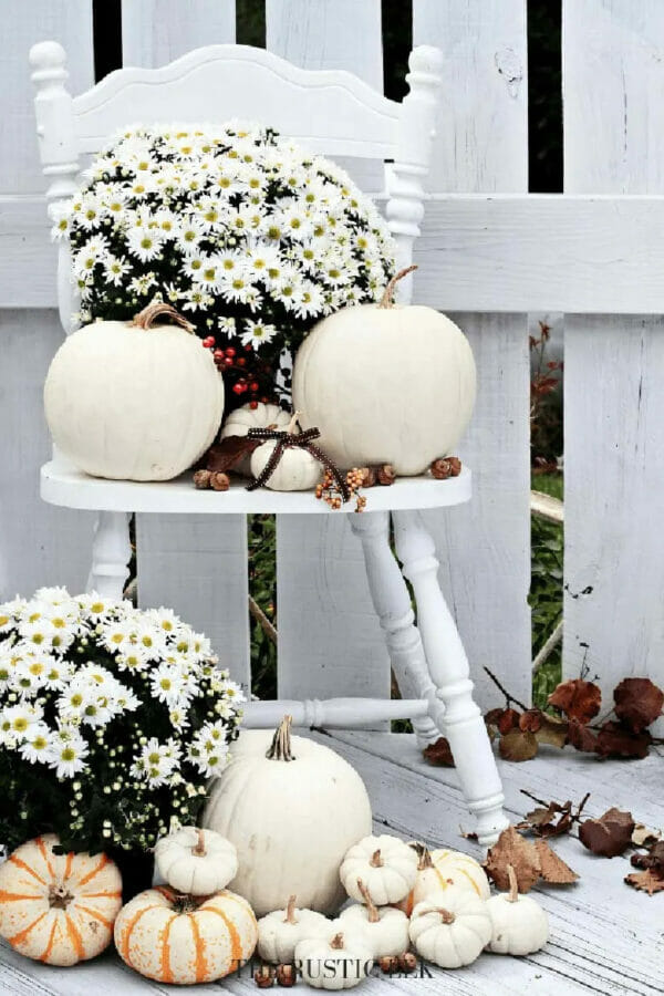 white chair with white pumpkins and mums